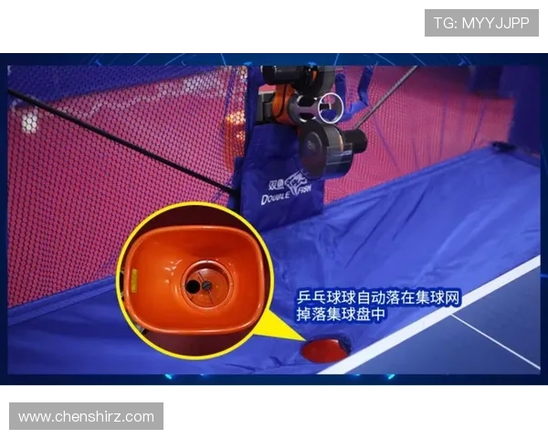 乒乓球装备选购指南全面解析训练器材推荐与使用技巧