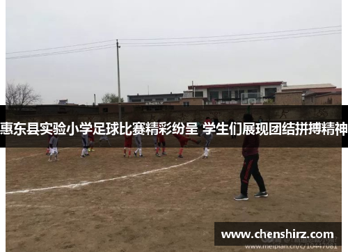 惠东县实验小学足球比赛精彩纷呈 学生们展现团结拼搏精神