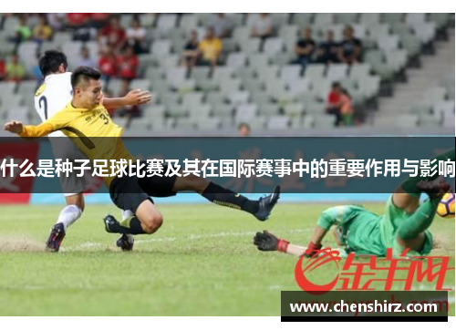 什么是种子足球比赛及其在国际赛事中的重要作用与影响